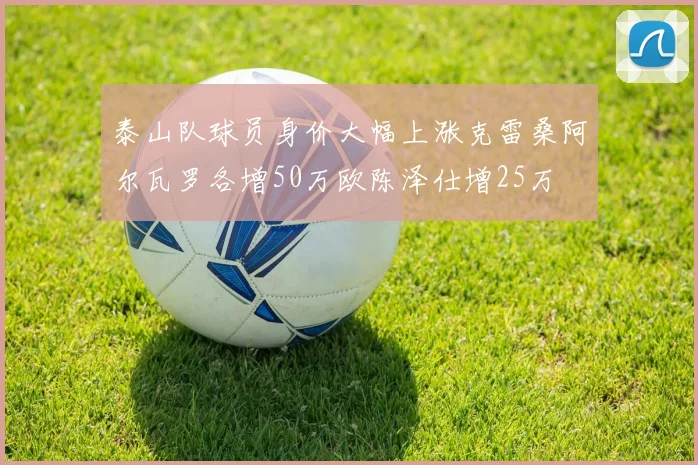 泰山队球员身价大幅上涨克雷桑阿尔瓦罗各增50万欧陈泽仕增25万