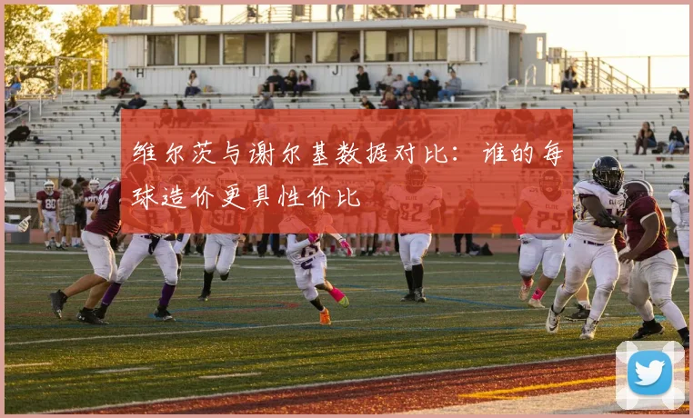维尔茨与谢尔基数据对比：谁的每球造价更具性价比